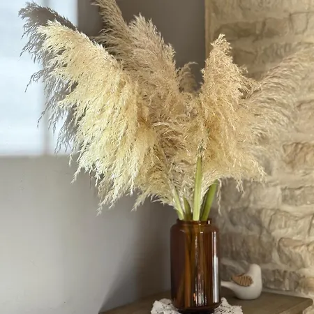 La Charentaise * Fontenille-Saint-Martin-d'Entraigues